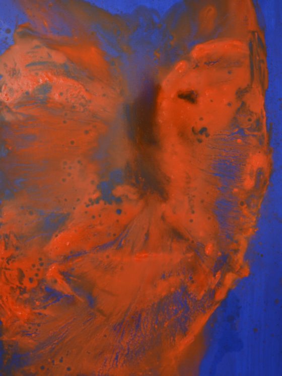 Red Pill Blue Pill, Diptych 2